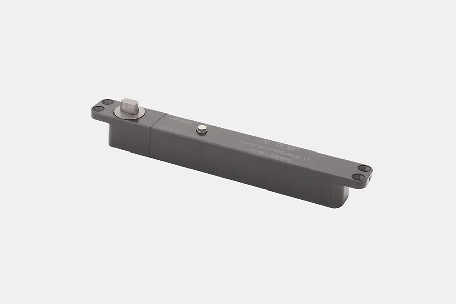 Cerniera Pivot Strong Inox 11