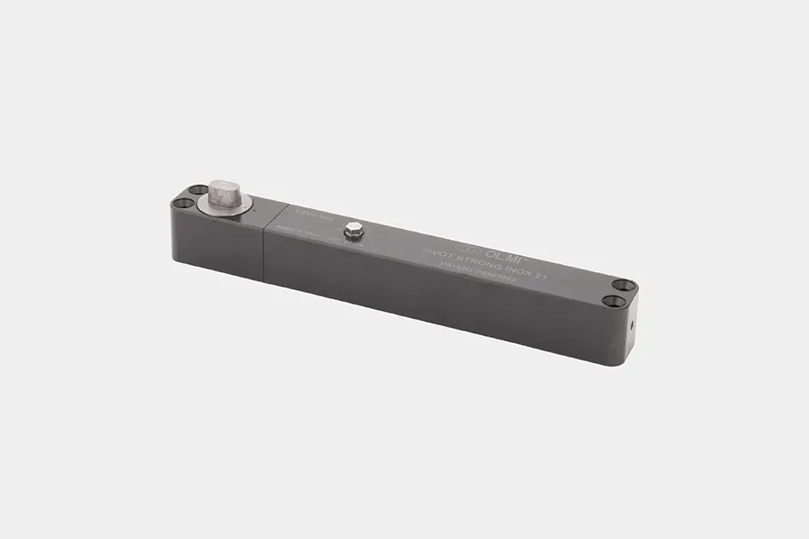 Cerniera Pivot Strong Inox 21